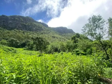 Terrain Agricole