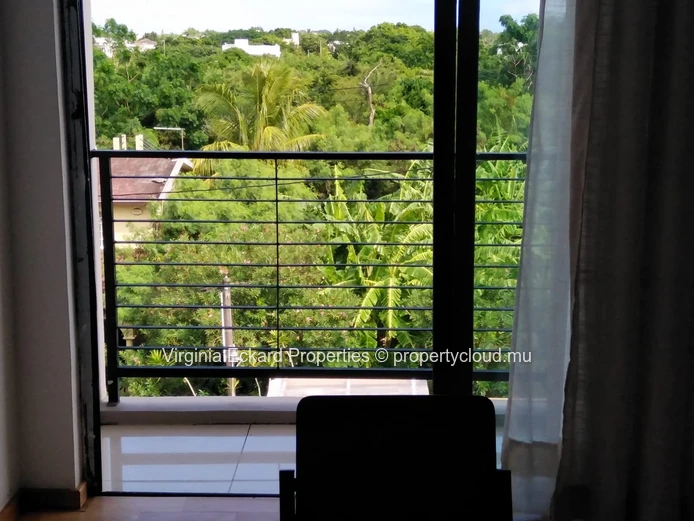 Appartement 3 ch Calodyne - piscine et terrasse en bois