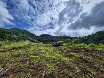 Terrain