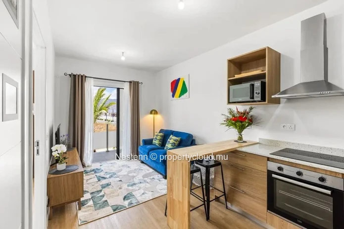 Appartement 1 chambre 