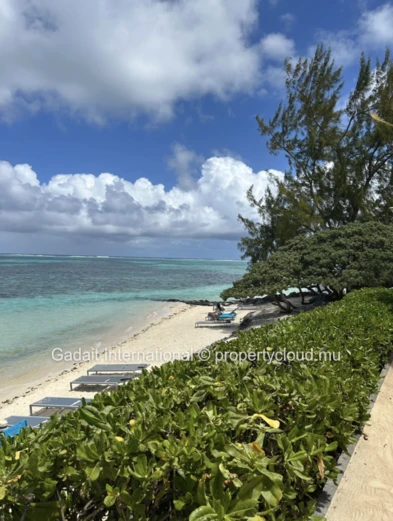 Discover Luxury Living at Pointe d'Esny Le Village – Mauritius