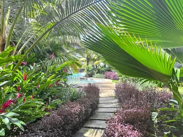T3 Flat With Small Garden