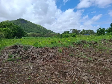 Terrain Agricole