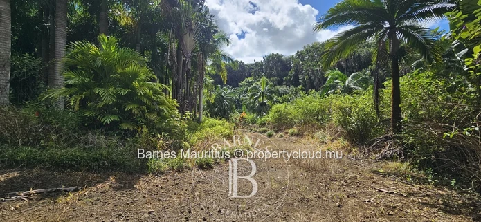 2 Bras - Terrain Agricole - 31 Arpents