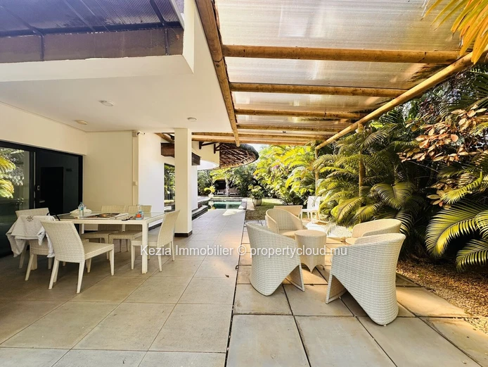 Tropical Oasis And Contemporary Elegance