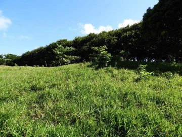 Residential Land