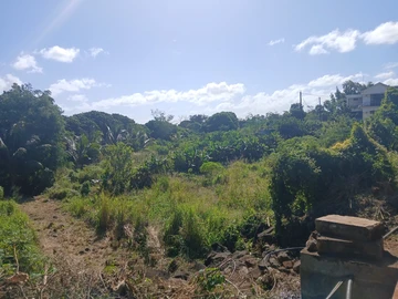 Agricultural Land