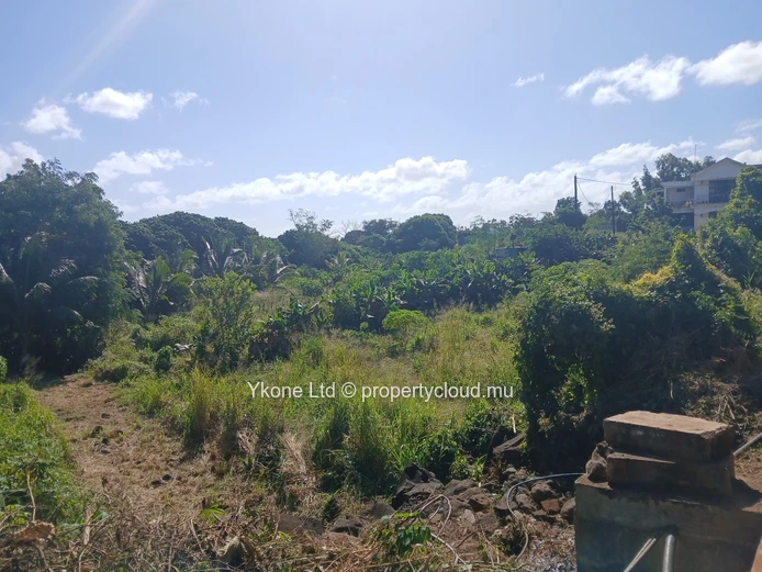 Agricultural Land For Sale In Bois Pignolet, Terre Rouge