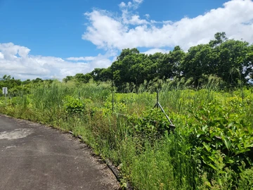 Residential Land