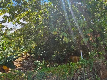 Residential Land