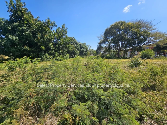 Prime Freehold Land for Sale in Moka