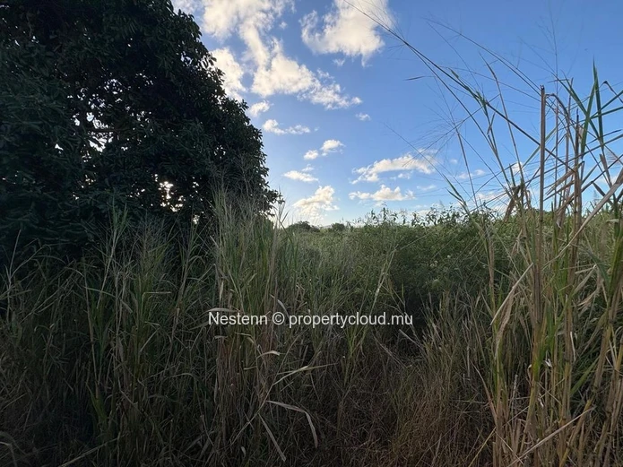 Terrain agricole de première qualité à vendre – 1 729,80 m² à Mare d'Albert
