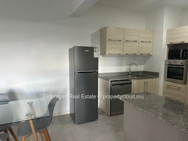 Luxurious 4-Bedroom Penthouse in Vacoas 