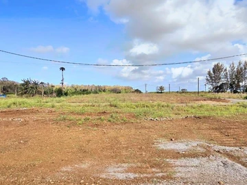 Land
