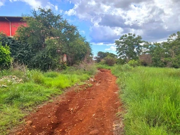 Agricultural Land