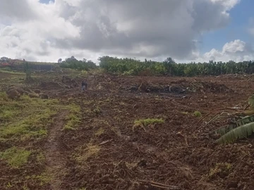 Agricultural Land