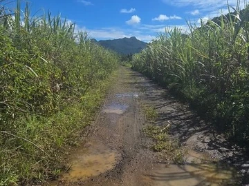 Agricultural Land