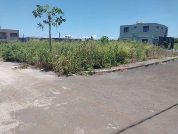 Land