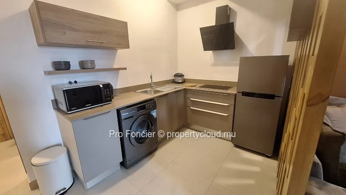 Studio neuf à louer à Tribecca – Moderne et idéalement situé