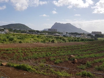 Terrain Agricole