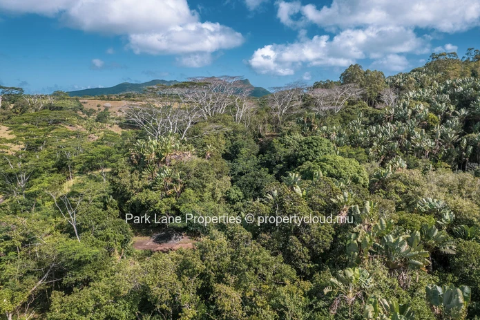 Beautiful Plot Surrounded by Nature next to River