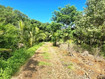 Agricultural Land
