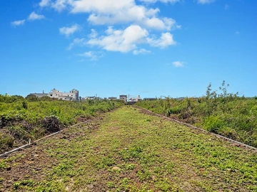 Terrain