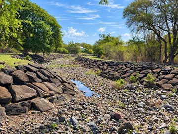 Residential Land