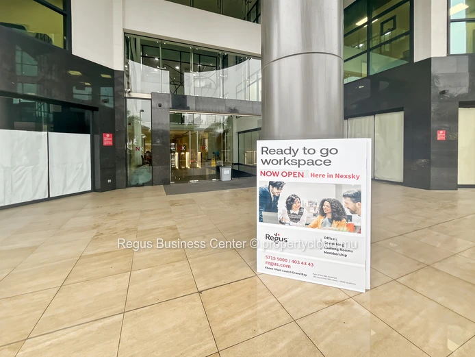 Professional office space in Regus Nexsky Building on fully flexible terms