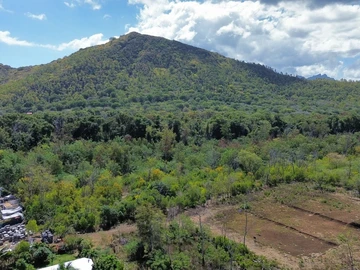 Commercial Land