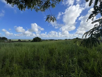 Terrain