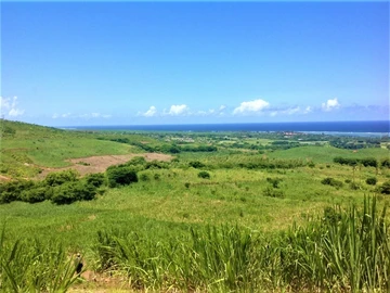 Terrain Agricole