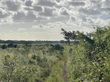 Agricultural Land