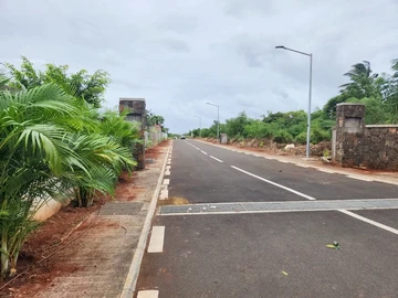 Commercial Land