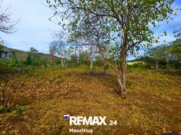 Terrain