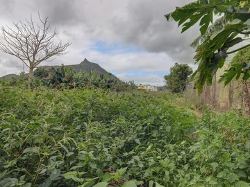 Residential Land
