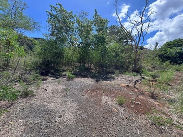 Residential Land