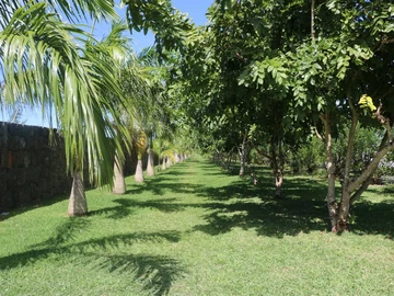 Residential Land