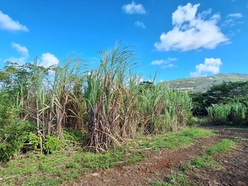 Agricultural Land