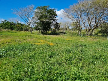 Terrain Agricole