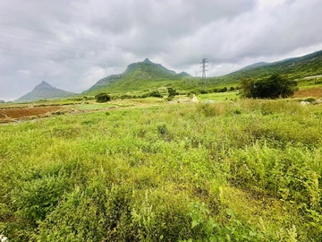 Agricultural Land