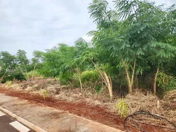Commercial Land