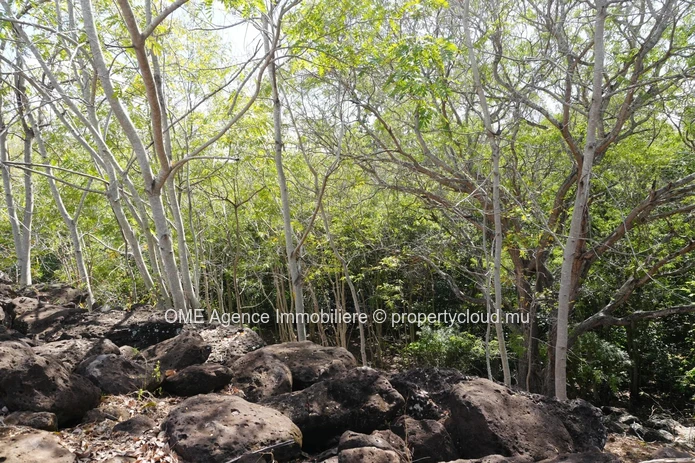 3,311 m² Freehold Land | Mountain Views and River Access