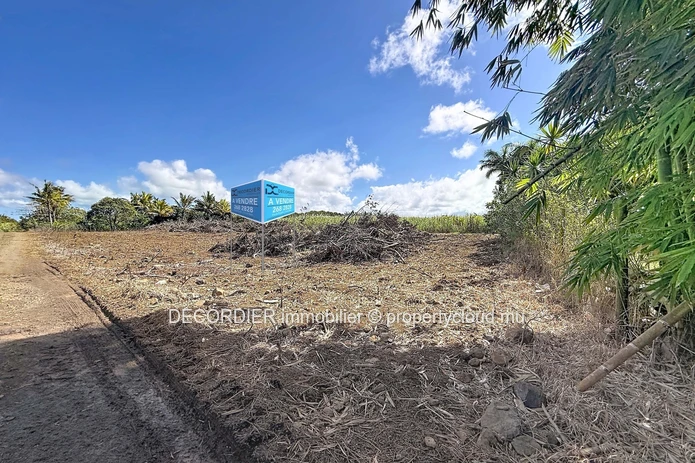 Terrain agricole à vendre – Deux Bras
