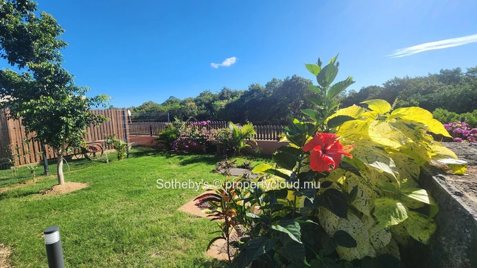 Montana Oceano Vistas – Cottage Rainbow