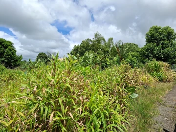 Residential Land