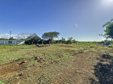 Land