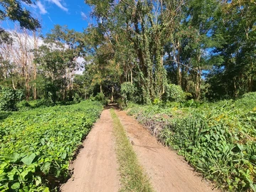 Agricultural Land