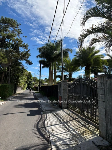1,015 m² Corner Plot on Quiet Tree-Lined Street, Curepipe