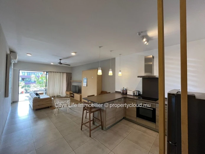 Luxury 2-bedroom apartment for rent in Choisy-les-Bain
